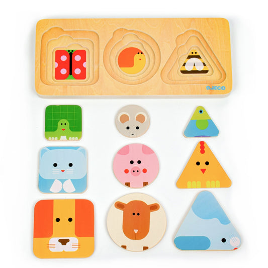 アニマ ベーシック