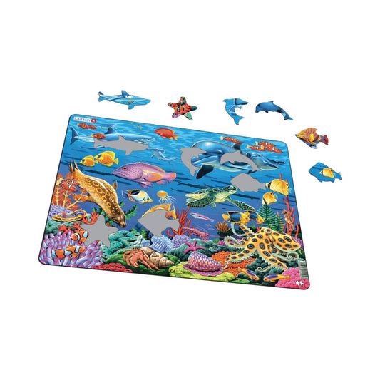 コーラル リーフ 35PCS