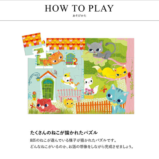 パシャット&フレンド