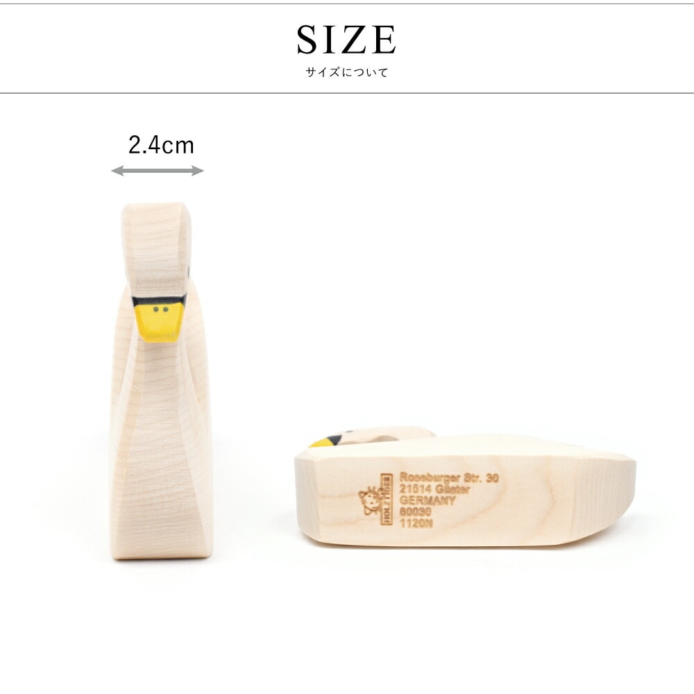 スワン スイミング