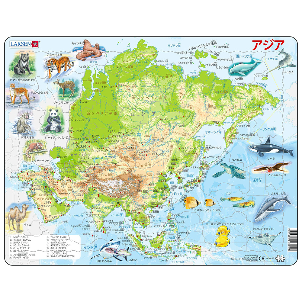 アジアマップ(日本語版) 63PCS