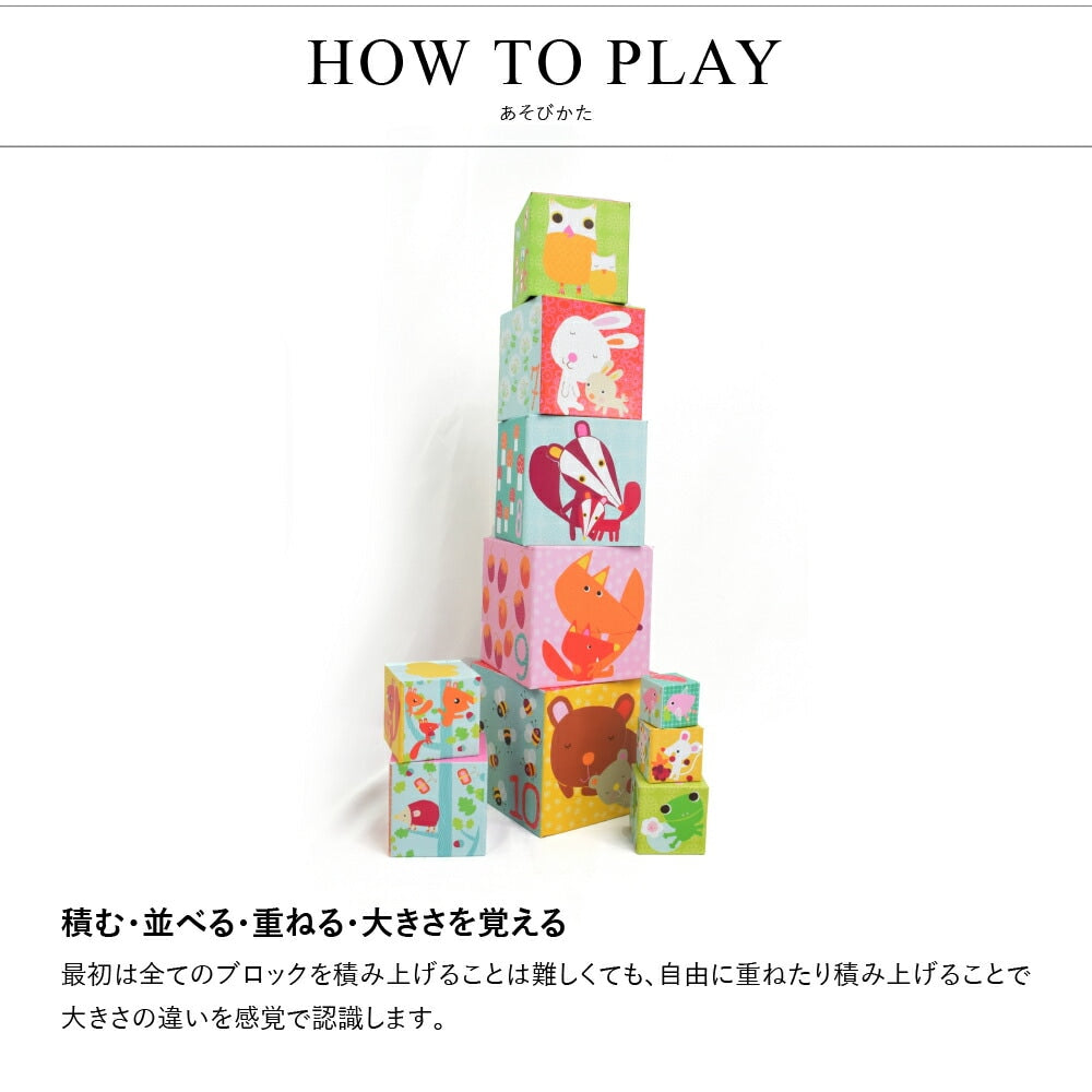 10 フォレスト ブロックス