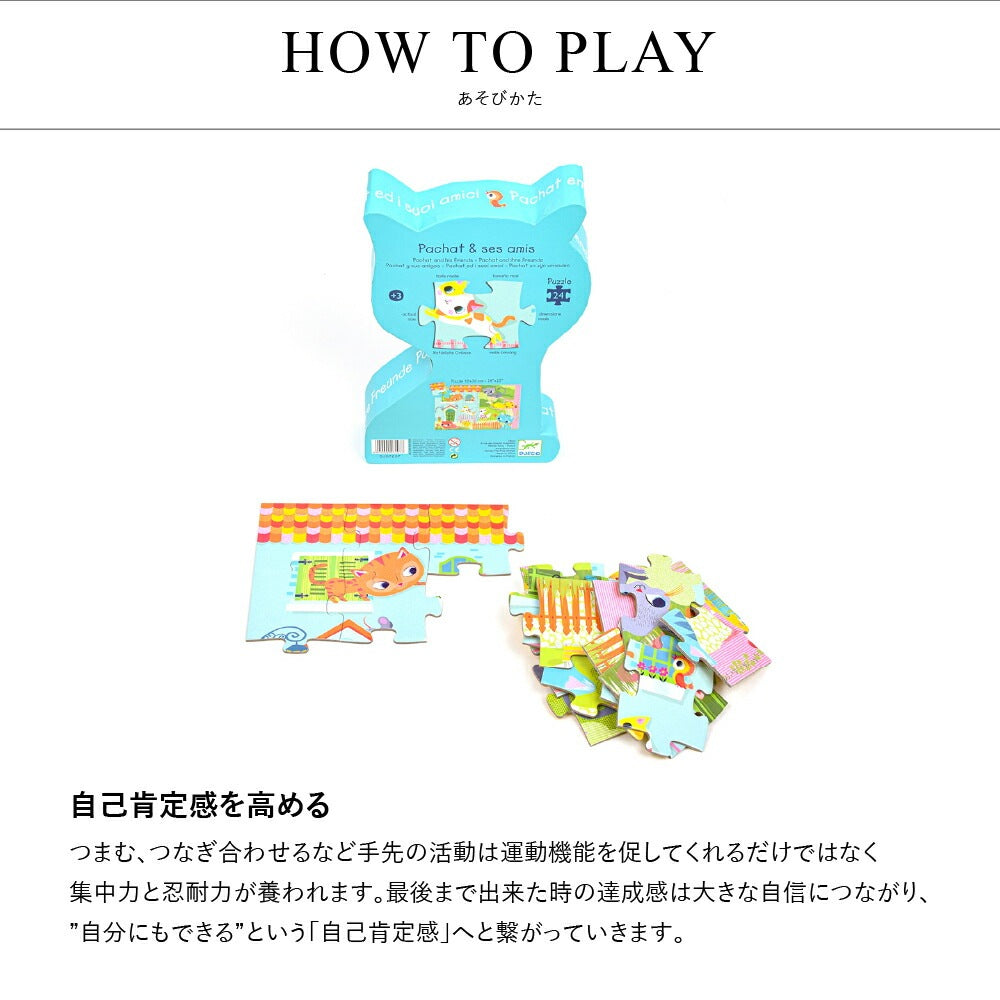 パシャット＆フレンド