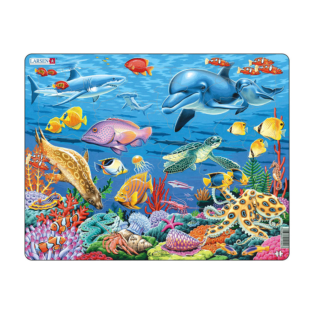 コーラル リーフ 35PCS