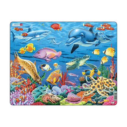 コーラル リーフ 35PCS
