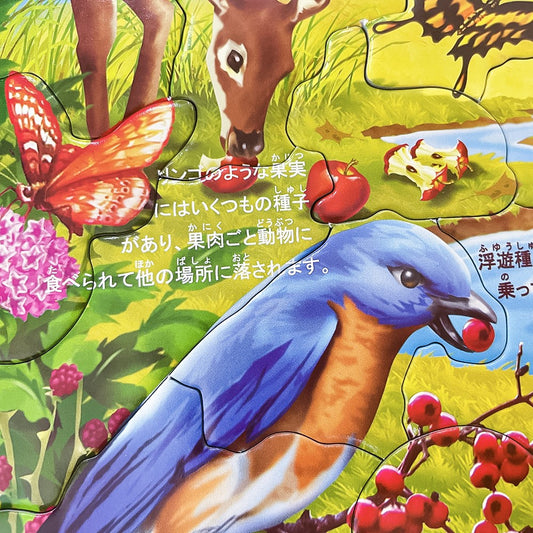 フラワー&ビー(日本語版) 55PCS
