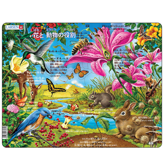 フラワー&ビー(日本語版) 55PCS